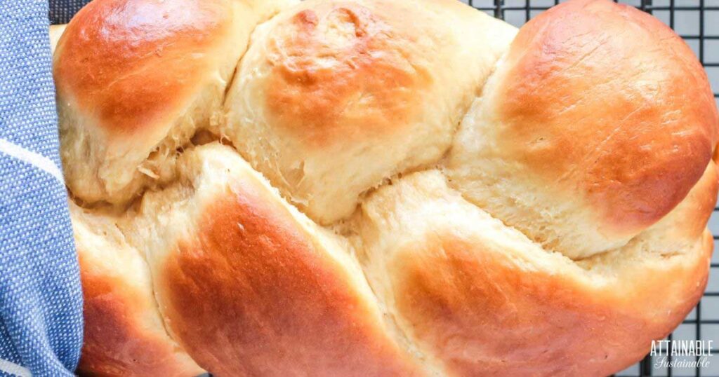 homemade bread recipes