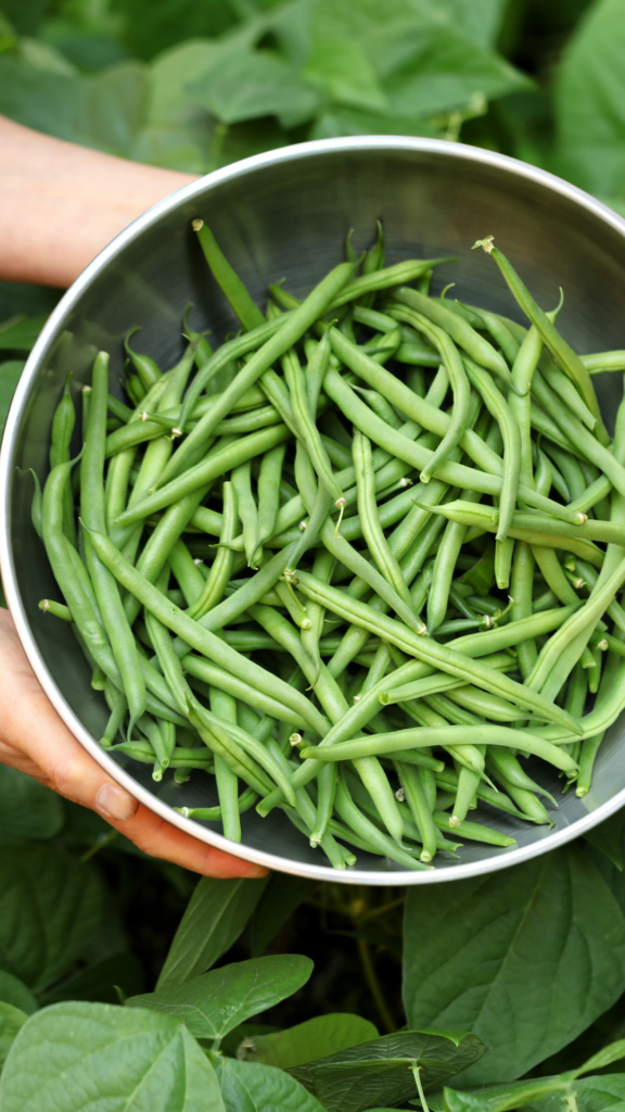 green beans for italian potato salad