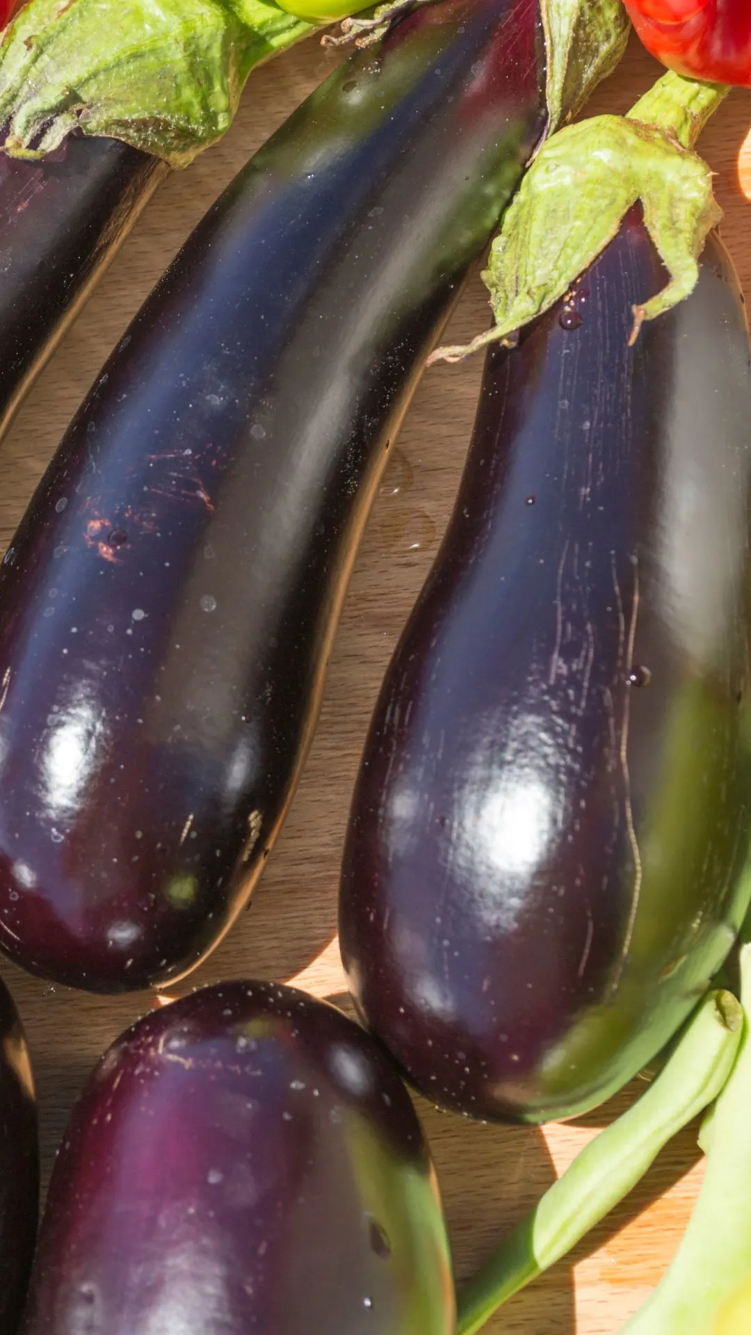 long violet eggplant