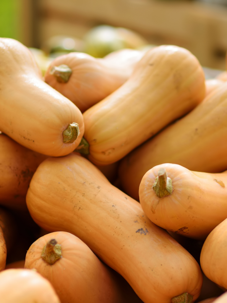 How to pick a good butternut squash