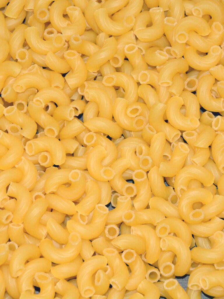 Elbow macaroni pasta