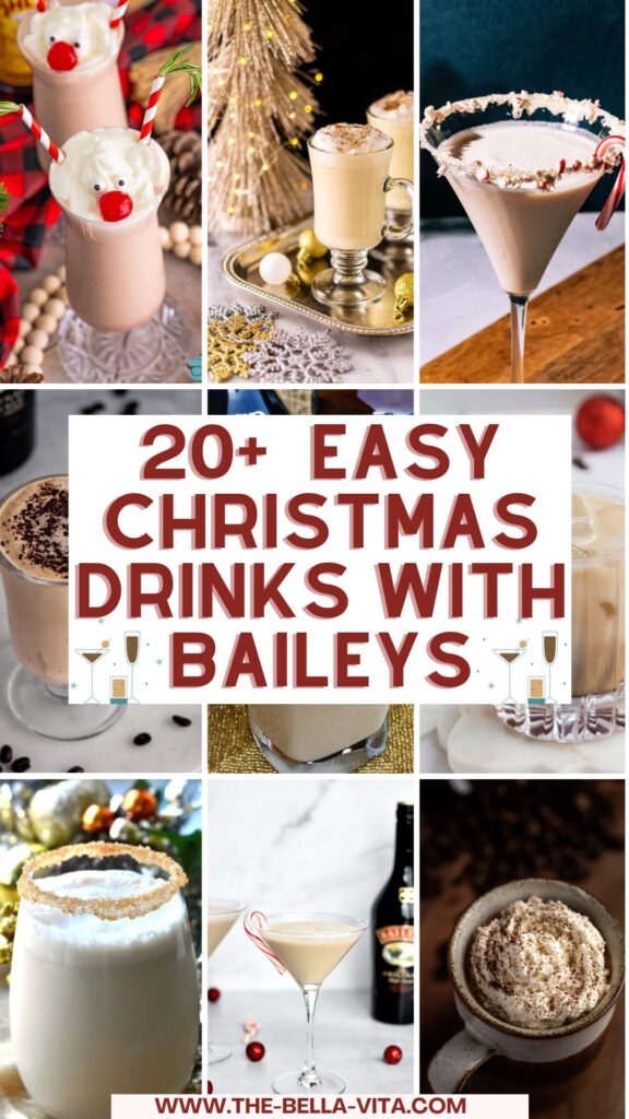 easy christmas drinks with baileys for Pintarest
