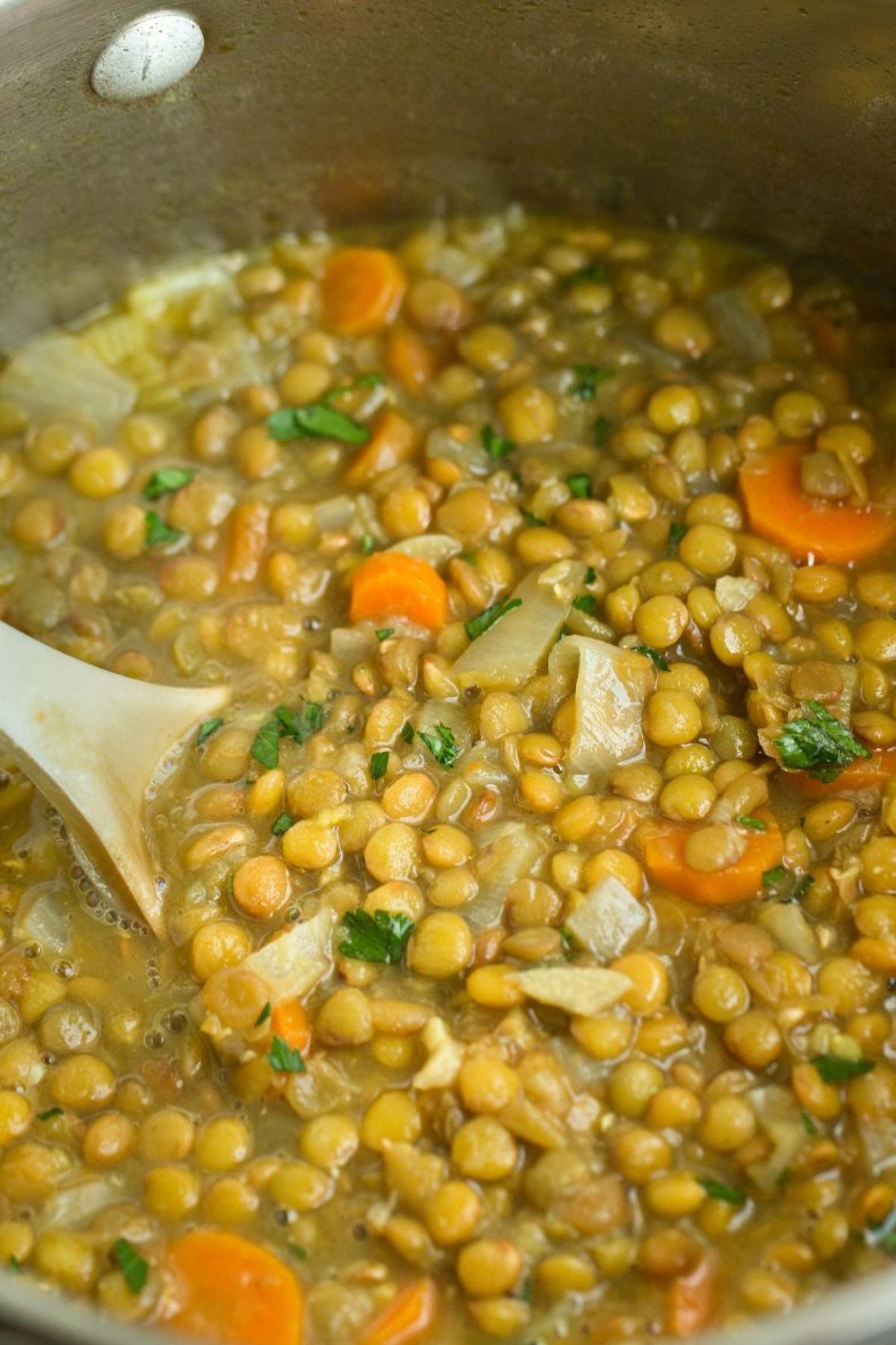 Italian Lentil Soup