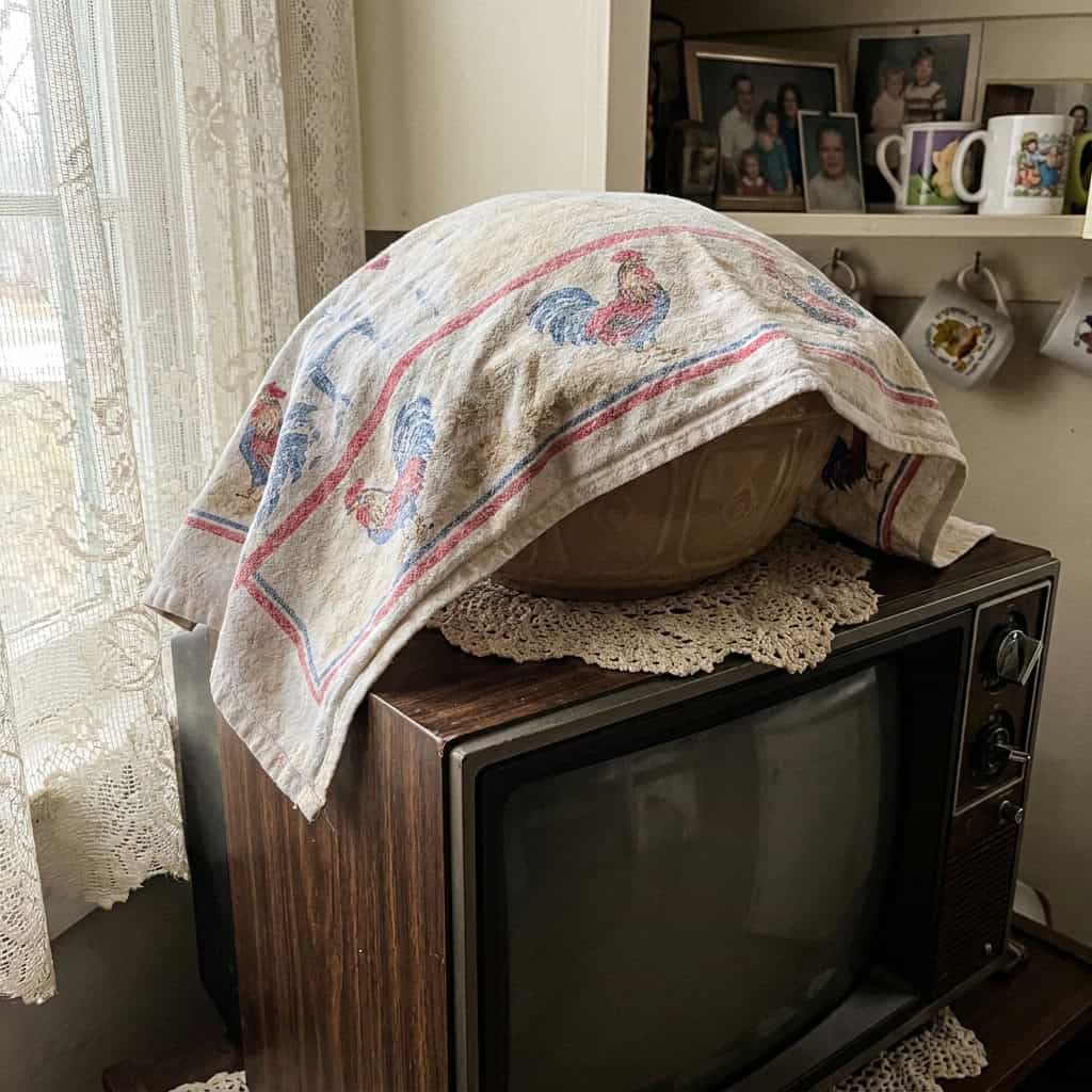 The Towel Over the Rising Dough