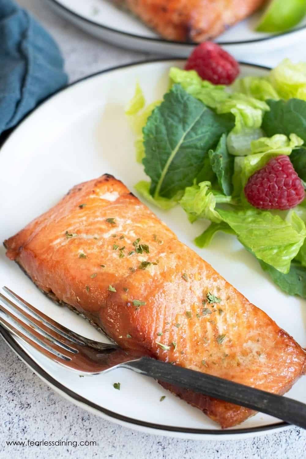 Honey Garlic Air Fryer Salmon Honey Garlic Air Fryer Salmon